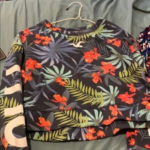 cropped hollister sweatshirt